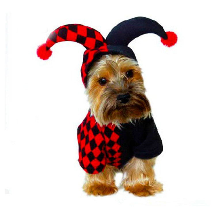 Petit chien portant un costume et un bonnet de bouffon à losanges rouges et noirs