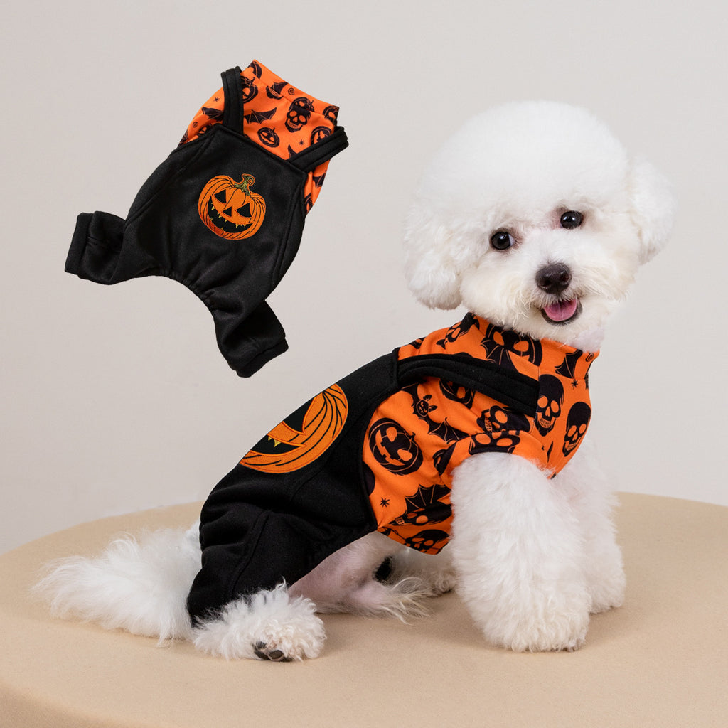 Petit chien blanc portant une combinaison orange et noire à motifs Halloween