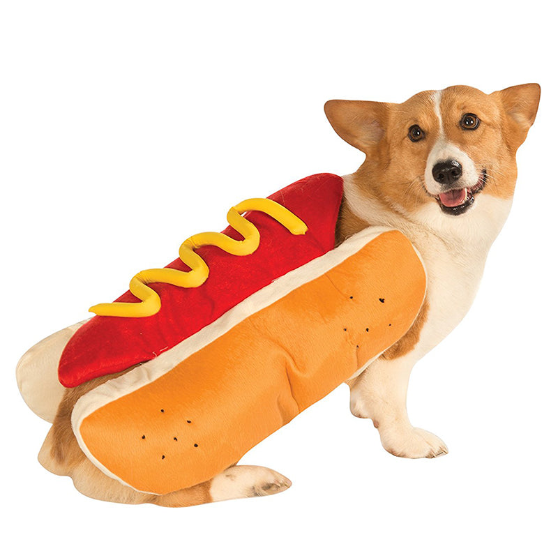 Corgi portant un costume hot-dog avec moutarde jaune