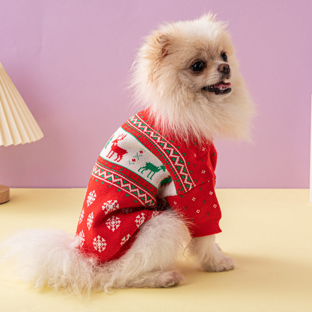 Petit chien portant un pull de Noël rouge à motifs blancs et verts